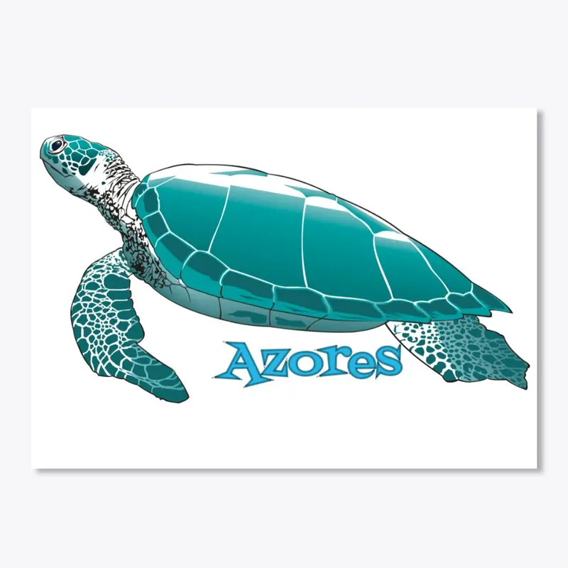 Blue Turtle Azores