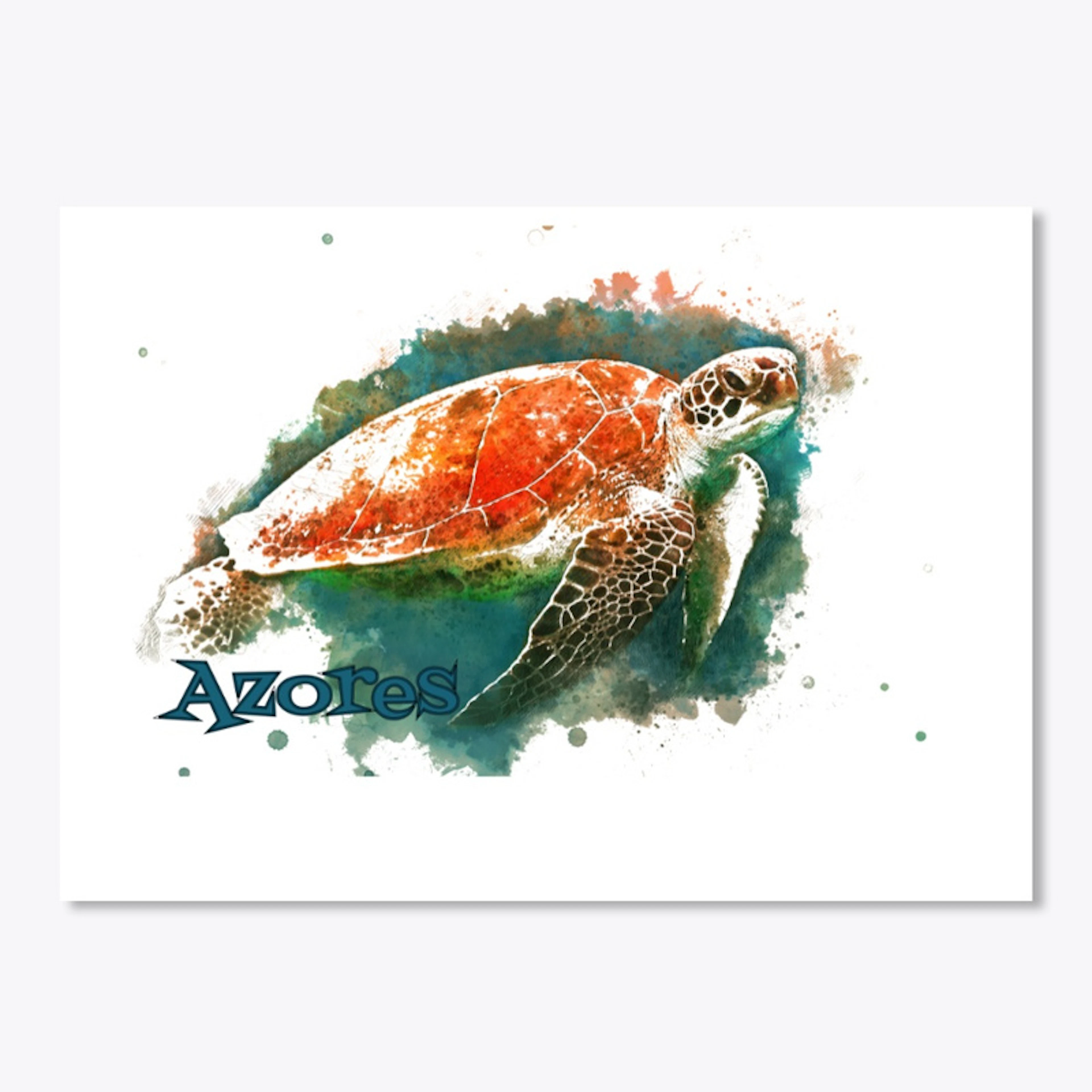 Rust Sea Turtle AZORES COLLECTION